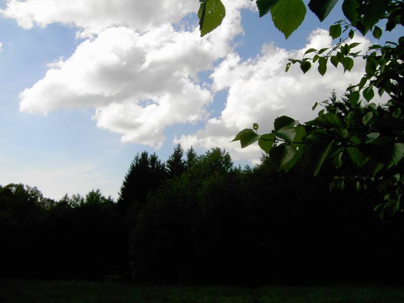 květen08.JPG